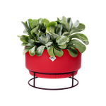 b.for studio schaal 30cm briljant rood
